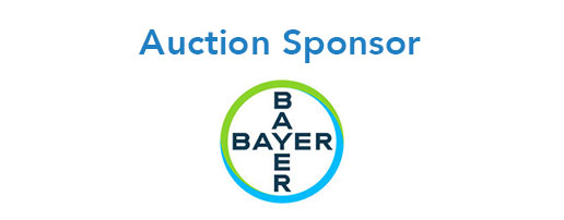 Bayer Logo